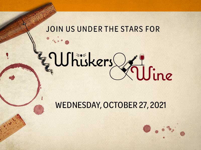 Whiskers & Wine 2021 Foothills Animal Rescue
