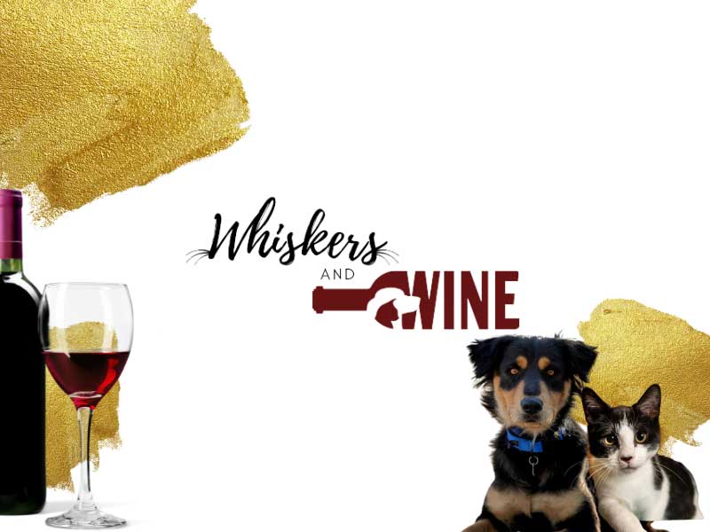 Whiskers & Wine 2022 Foothills Animal Rescue