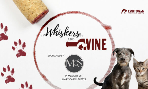 Whiskers & Wine 2023 Foothills Animal Rescue