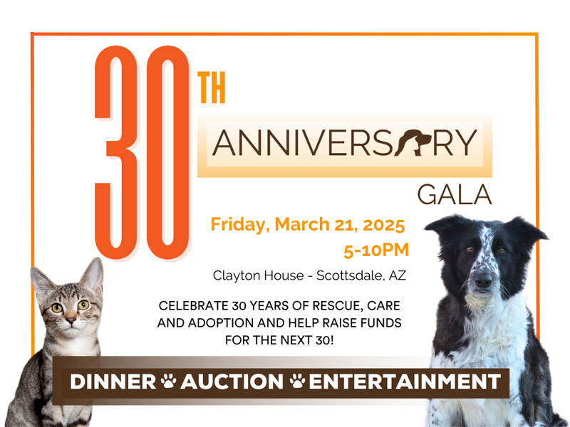 30th Anniversary Celebration Foothills Animal Rescue 2025