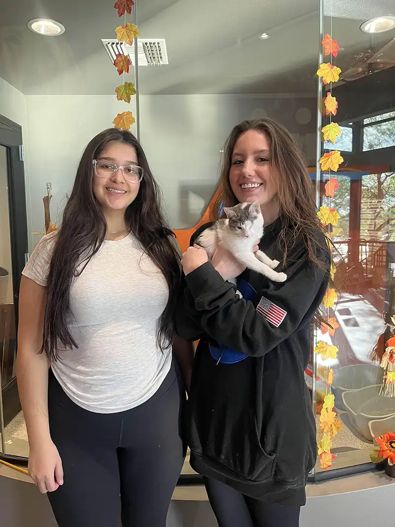 Esperanza Adoption Photo Foothills Animal Rescue Success Stories