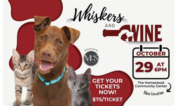 Whiskers and Wine 2025 Foothills Animal Rescue