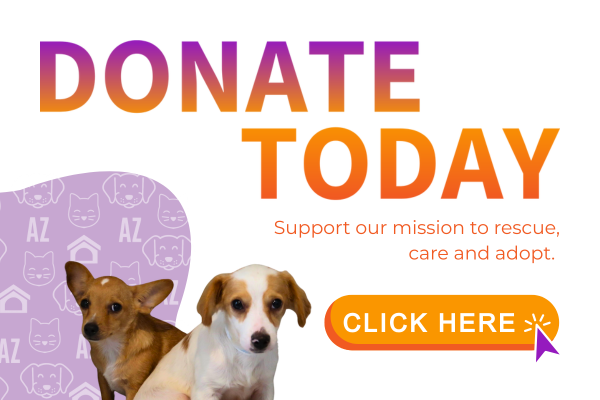 Support our Mission to Rescue Care and Adopt Foothills Animal Rescue