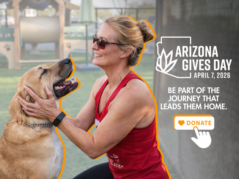 Arizona Gives Day 2026 Foothills Animal Rescue - Pop-up
