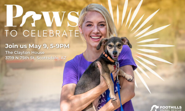 Paws To Celebrate Foothills Animal Rescue