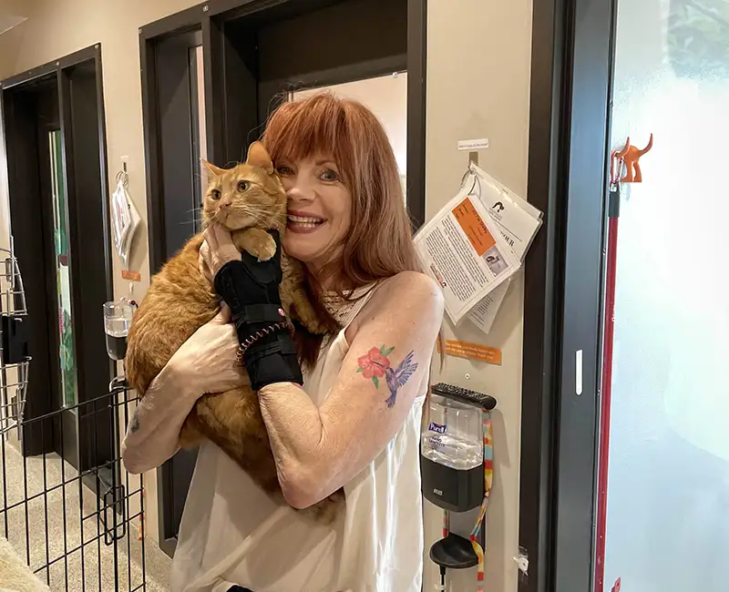 Garfield Adoption Day Foothills Animal Rescue Success Stories crop