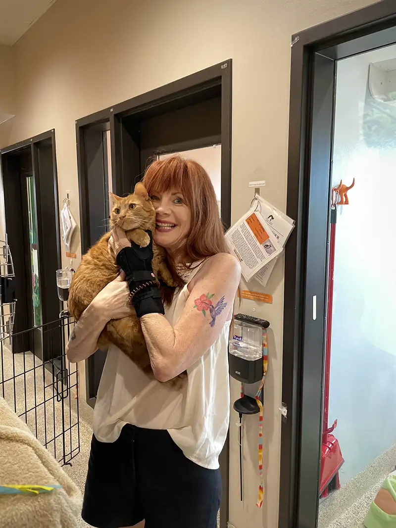 Garfield Adoption Day Foothills Animal Rescue Success Stories