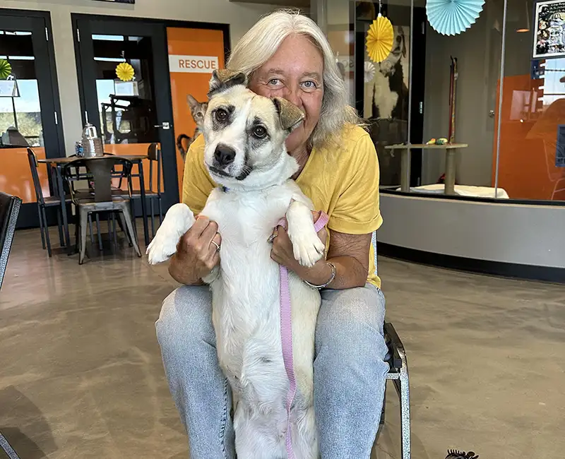 Sadie Adoption Day Foothills Animal Rescue Success Stories crop