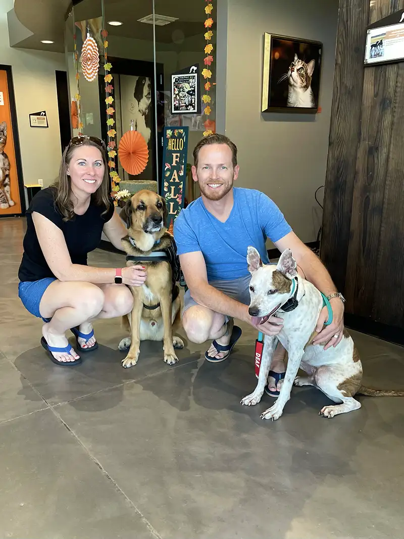 Sammy Adoption Day Foothills Animal Rescue Success Stories