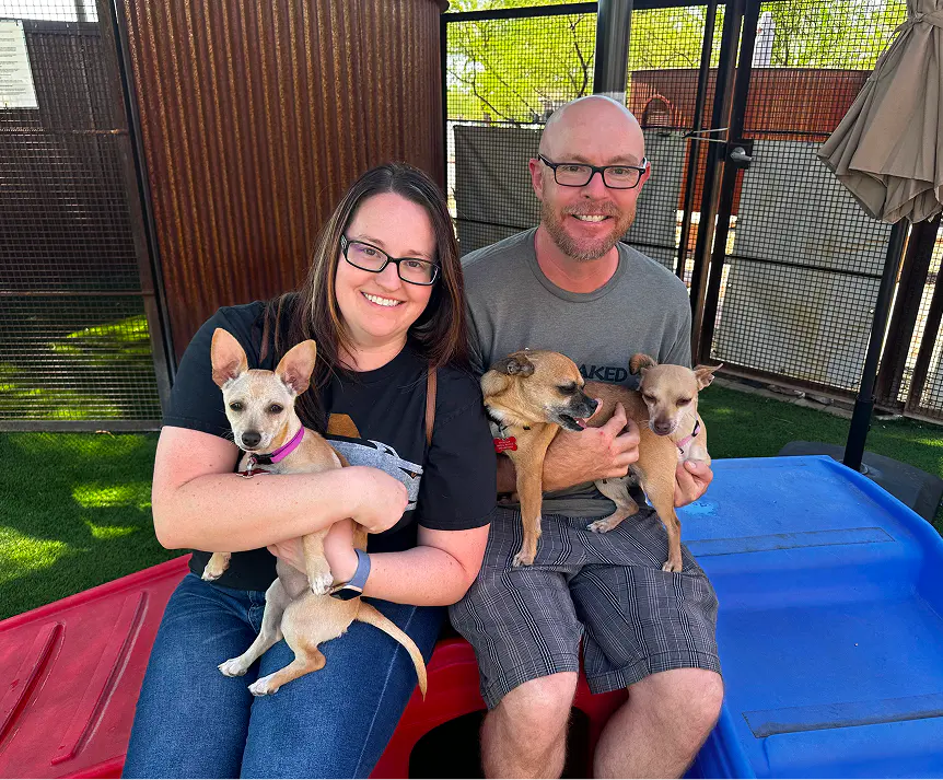 Angel Success Story Dog Adoption Foothills Animal Rescue