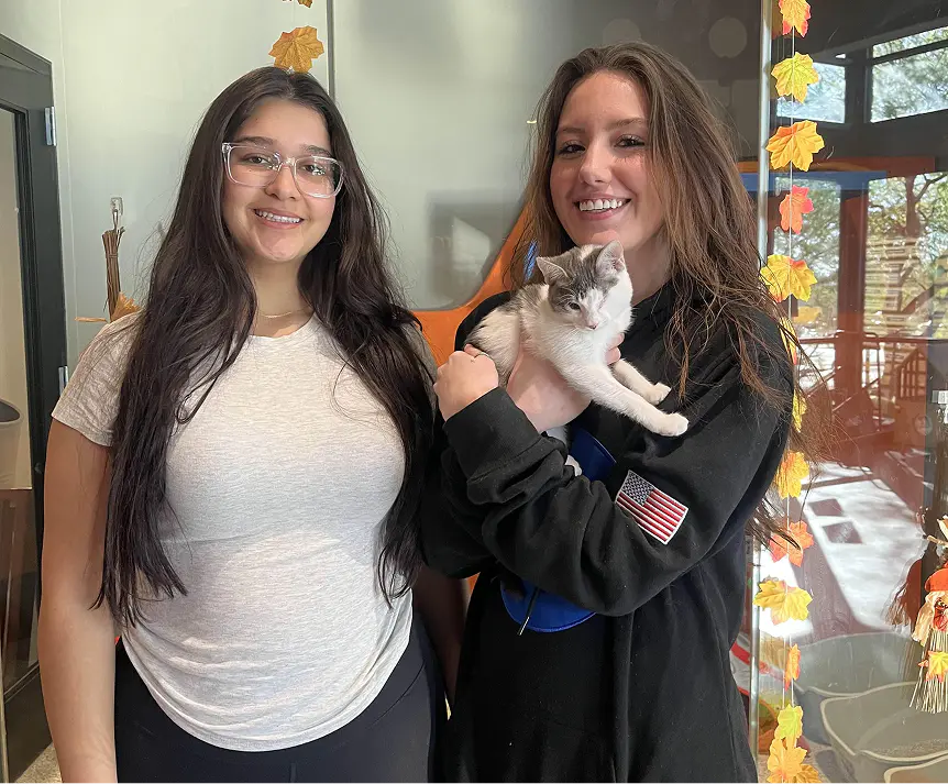 Esperanza Success Story Cat Foothills Animal Rescue