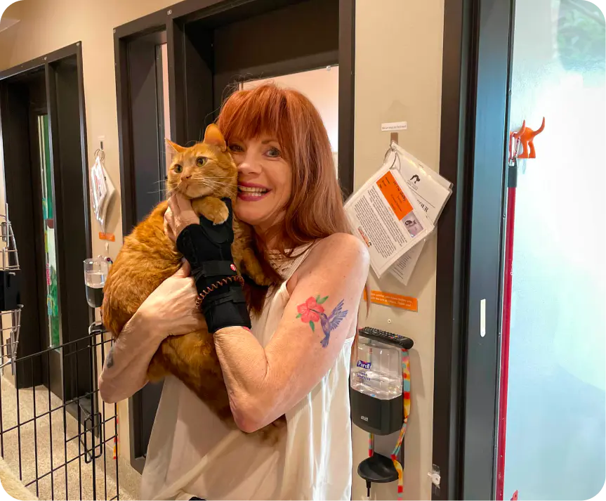 Garfield Success Story Cat Adoption Foothills Animal Rescue
