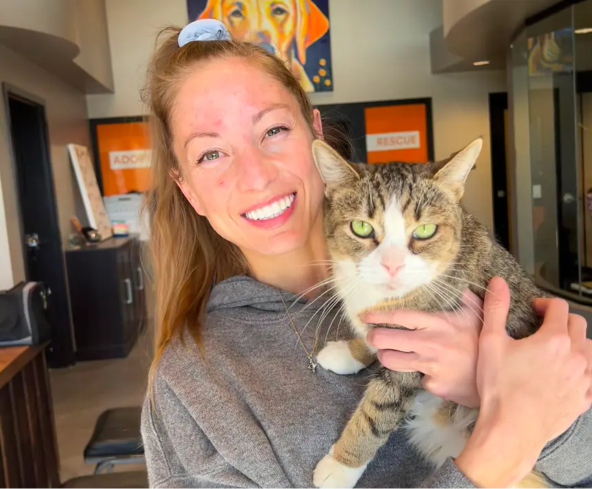 Mimi Success Story Cat Adoption Foothills Animal Rescue