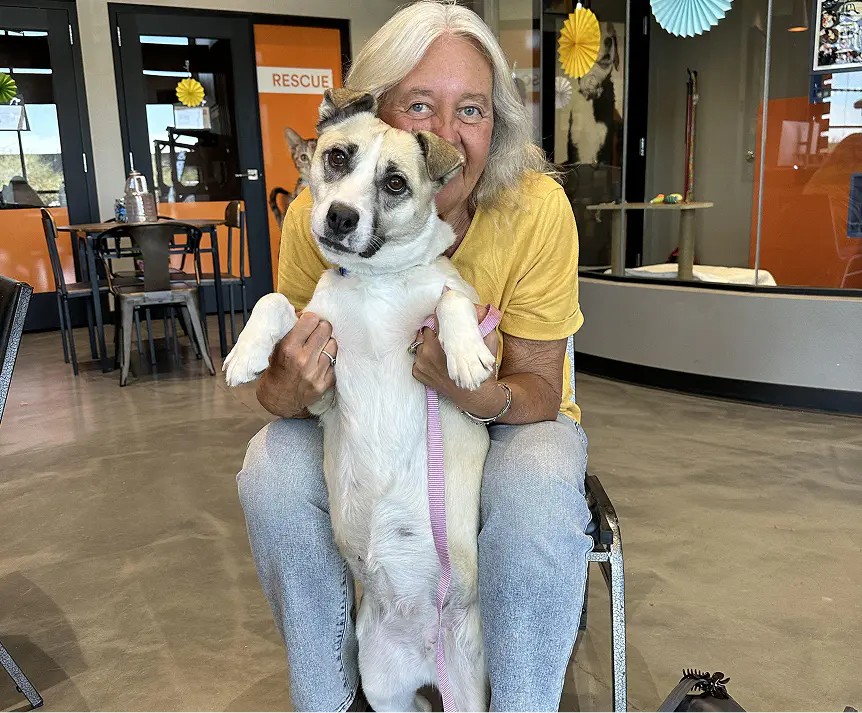 Sadie Success Story Dog Adoption Foothills Animal Rescue