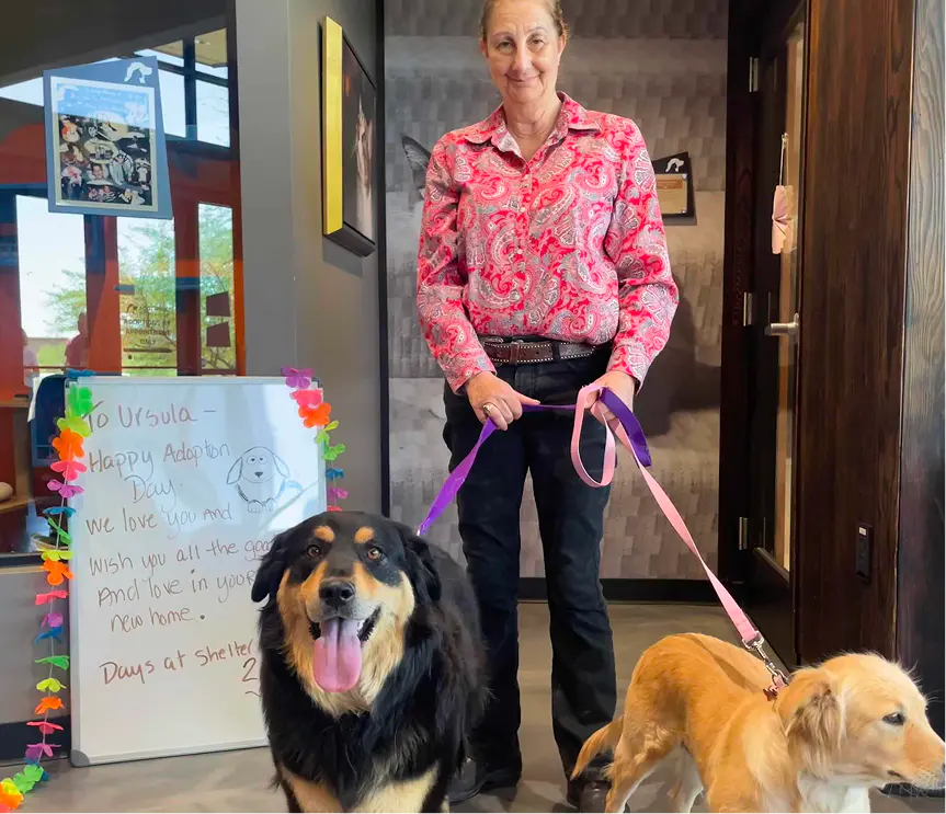 Ursula Success Story Dog Adoption Foothills Animal Rescue