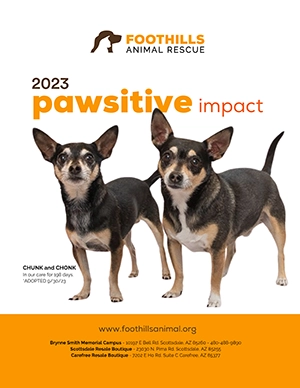 2023 Impact Report Foothills Animal Rescue