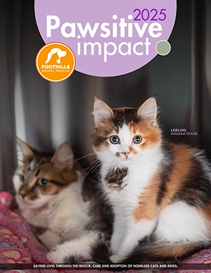 2025 Impact Report Foothills Animal Rescue