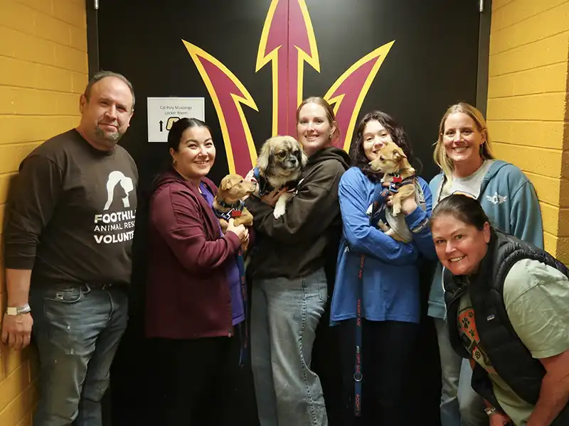 Community Event ASU Foothills Animal Rescue 7814