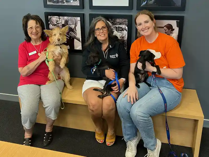 Community Events Foothills Animal Rescue Group 7546