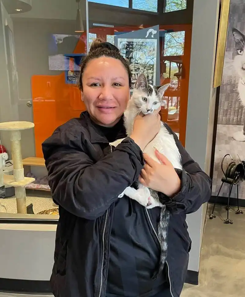Michelle Cat Foster Foothills Animal Rescue