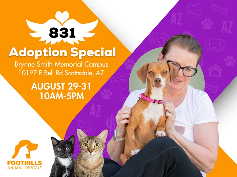 831 Adoption Event 2026 Foothills Animal Rescue Brynne Smith