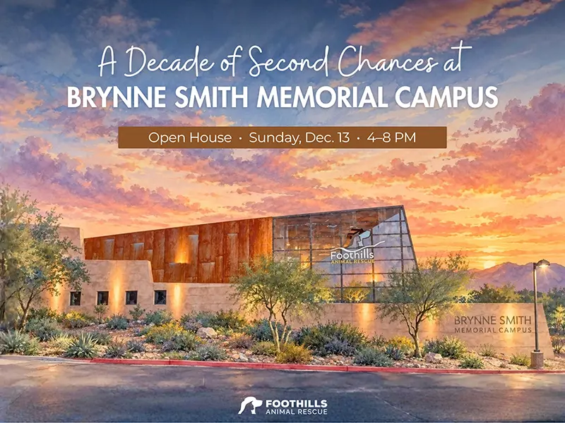 Brynne Smith Memorial Campus 10 Year Anniversary Event
